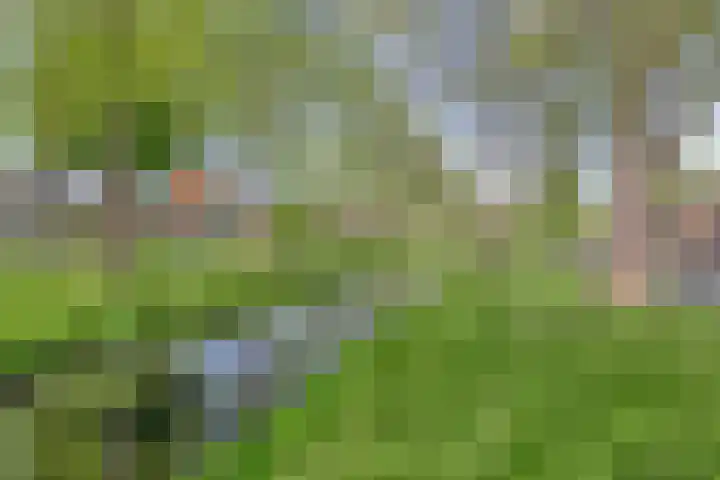 Rijperweg 65 Middenbeemster thumbnail 55