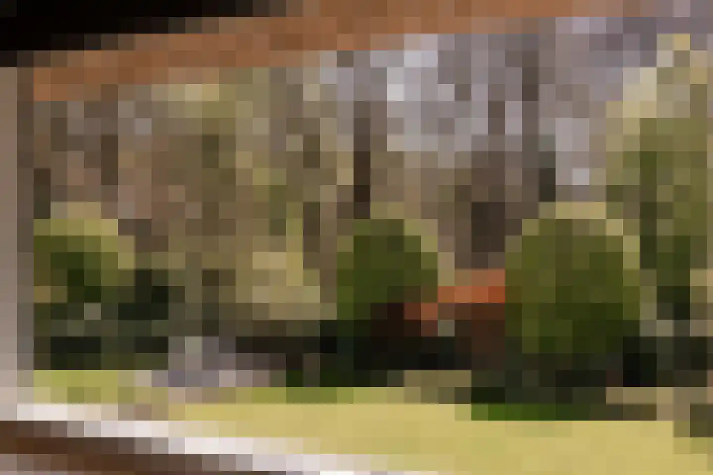 Rijperweg 7 Bloemendaal thumbnail 56