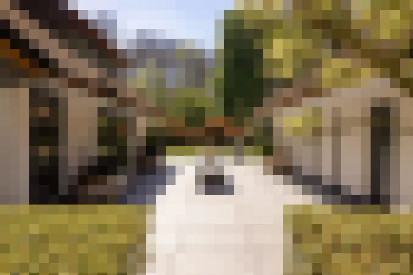 Rijperweg 7 Bloemendaal thumbnail 63