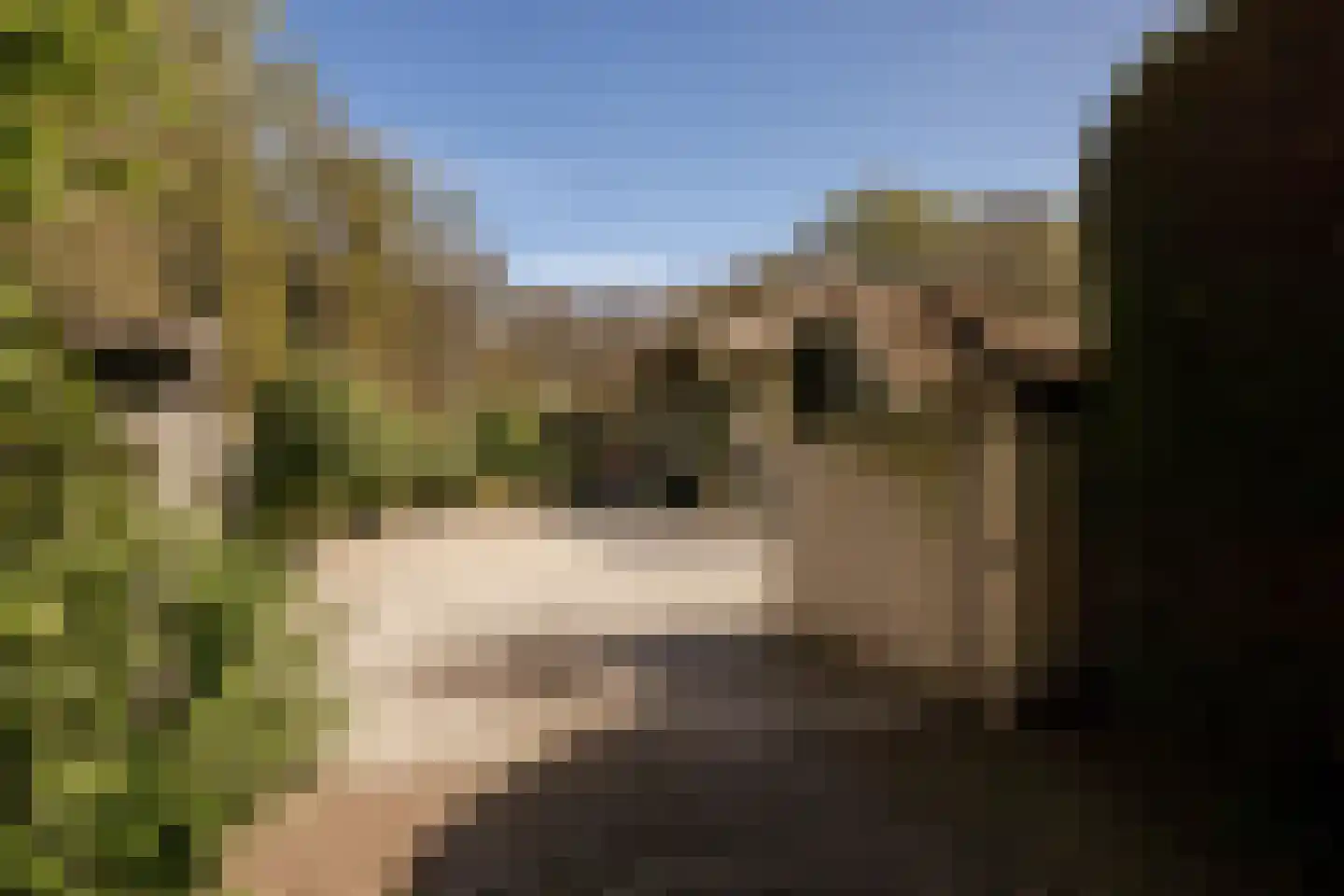 Rijperweg 7 Bloemendaal thumbnail 7
