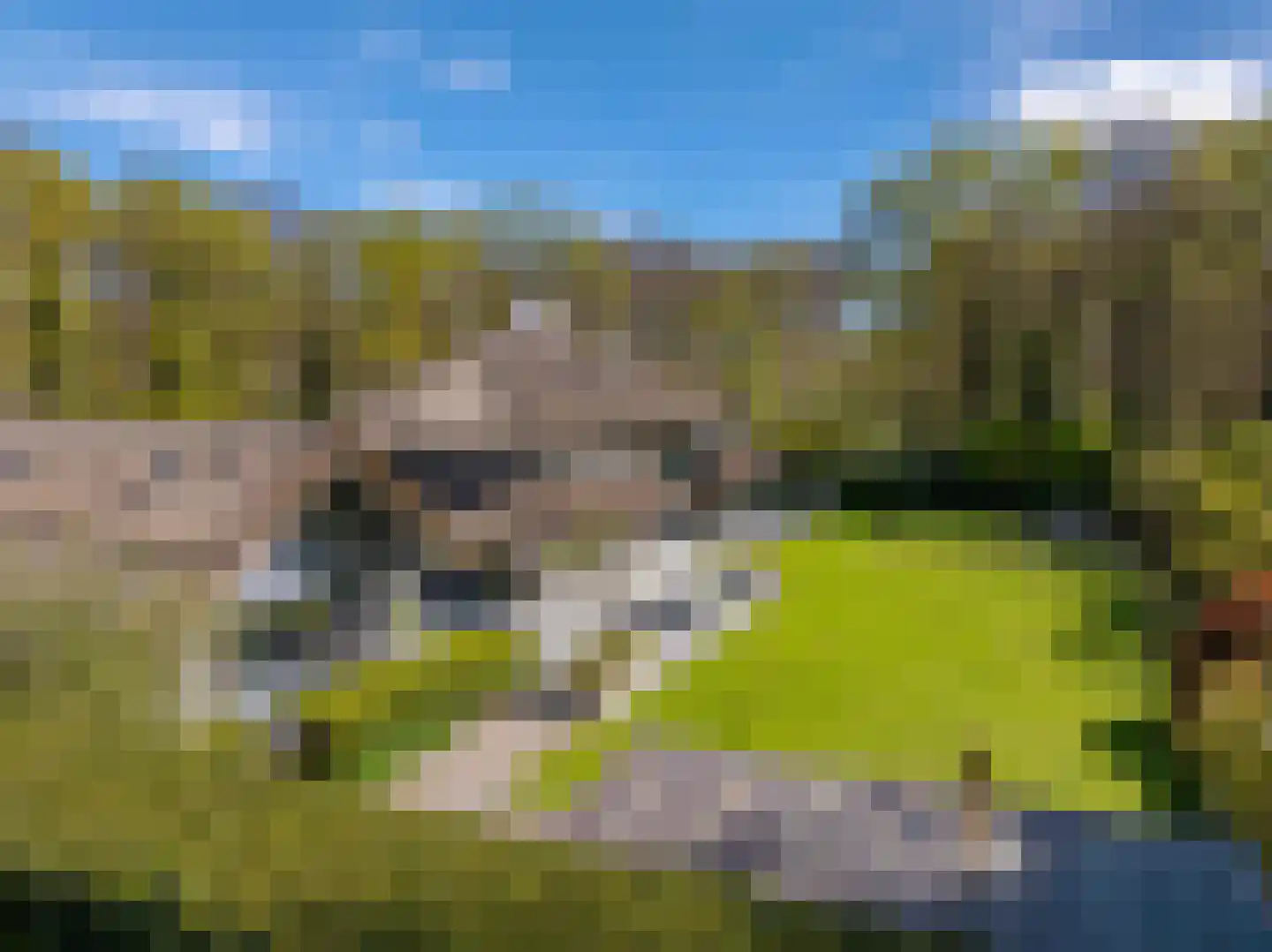 Rijperweg 7 Bloemendaal thumbnail 74