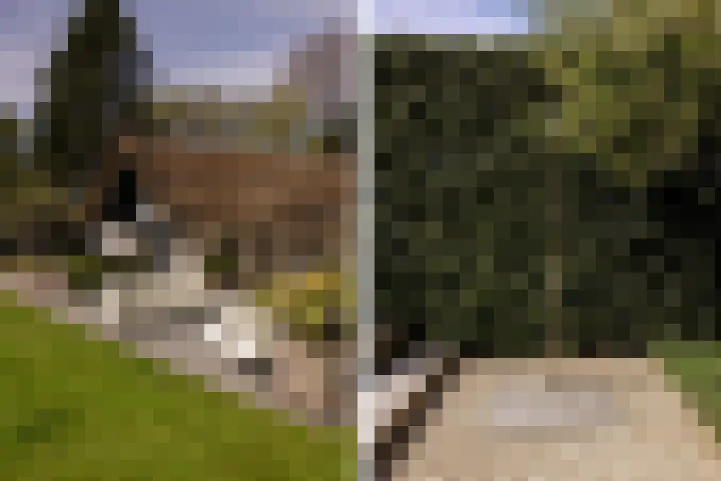 Rijperweg 7 Bloemendaal thumbnail 79