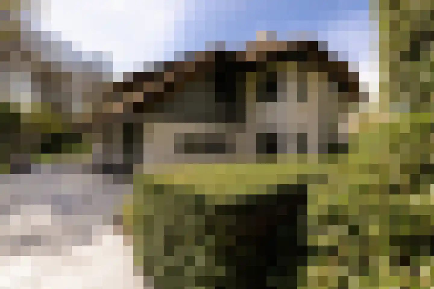 Rijperweg 7 Bloemendaal thumbnail 84