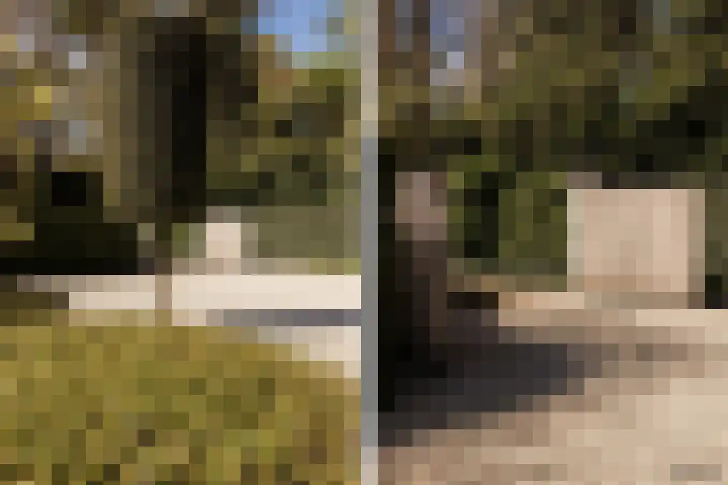 Rijperweg 7 Bloemendaal thumbnail 85