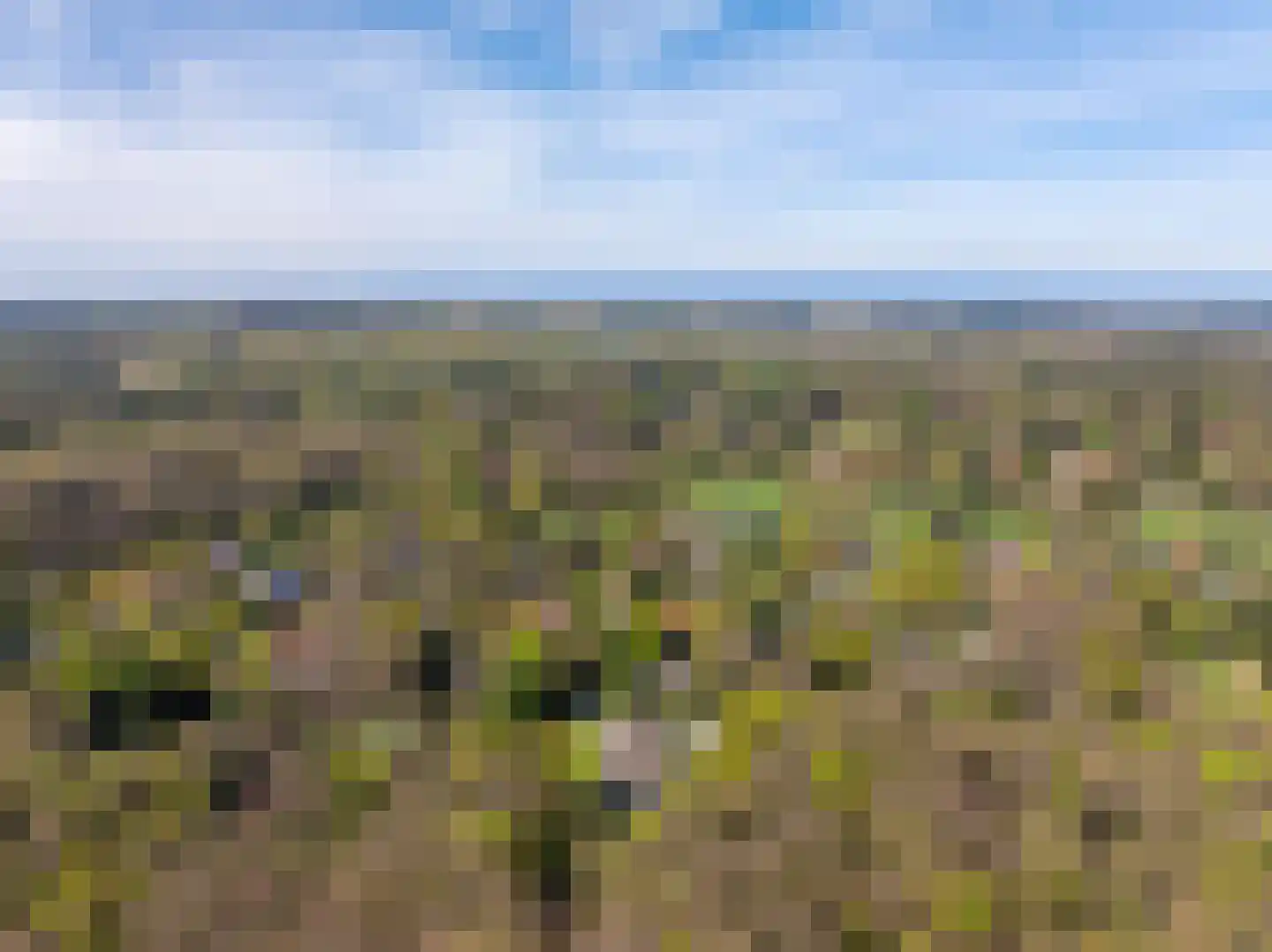 Rijperweg 7 Bloemendaal thumbnail 87