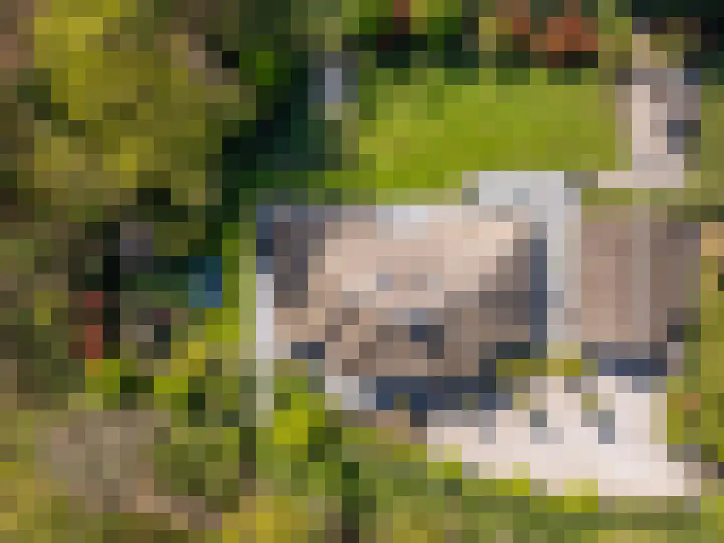 Rijperweg 7 Bloemendaal thumbnail 88