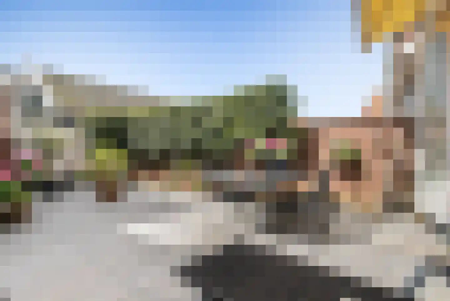 Rijperweg 81 Middenbeemster thumbnail 32