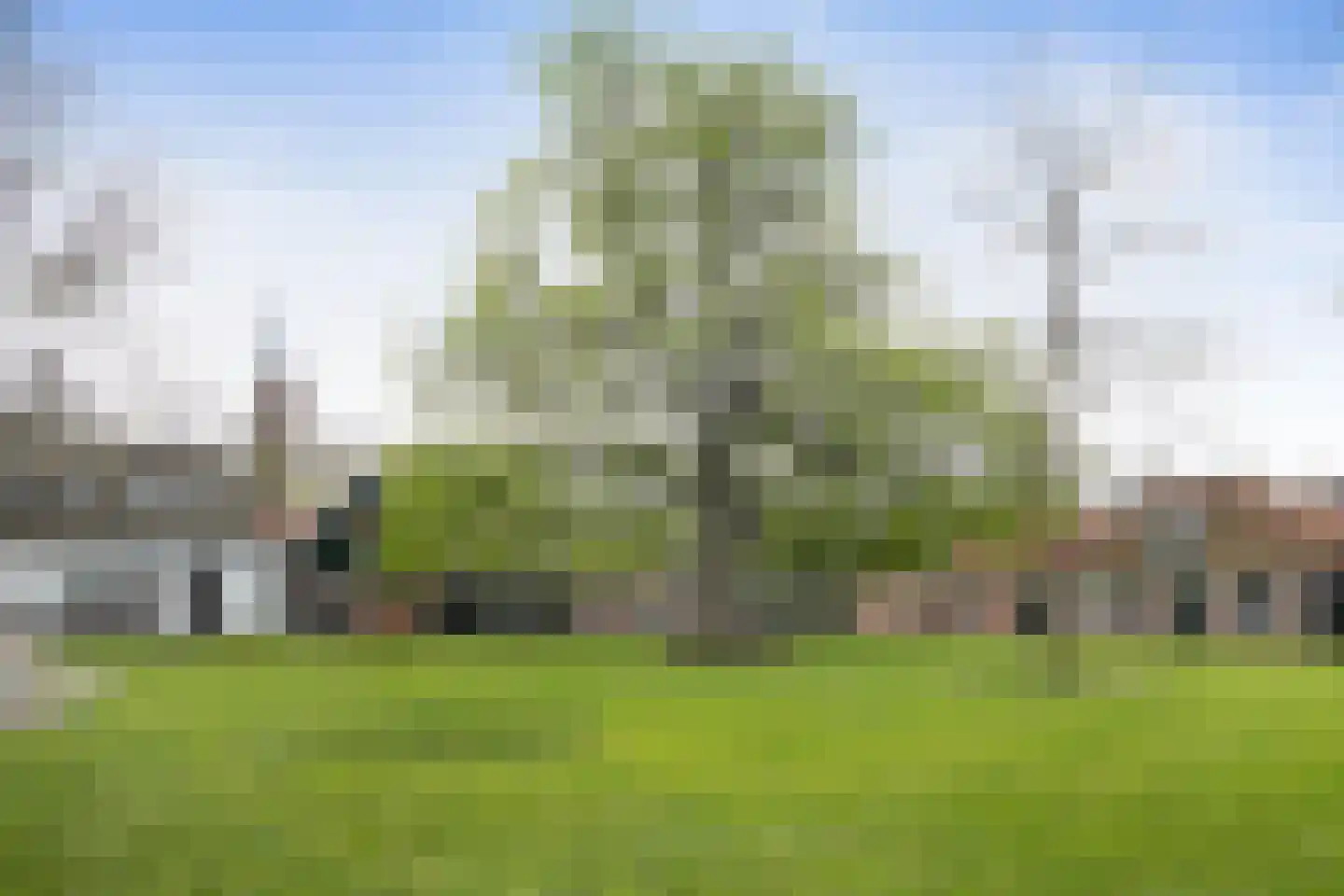 Rijperweg 81 Middenbeemster thumbnail 36