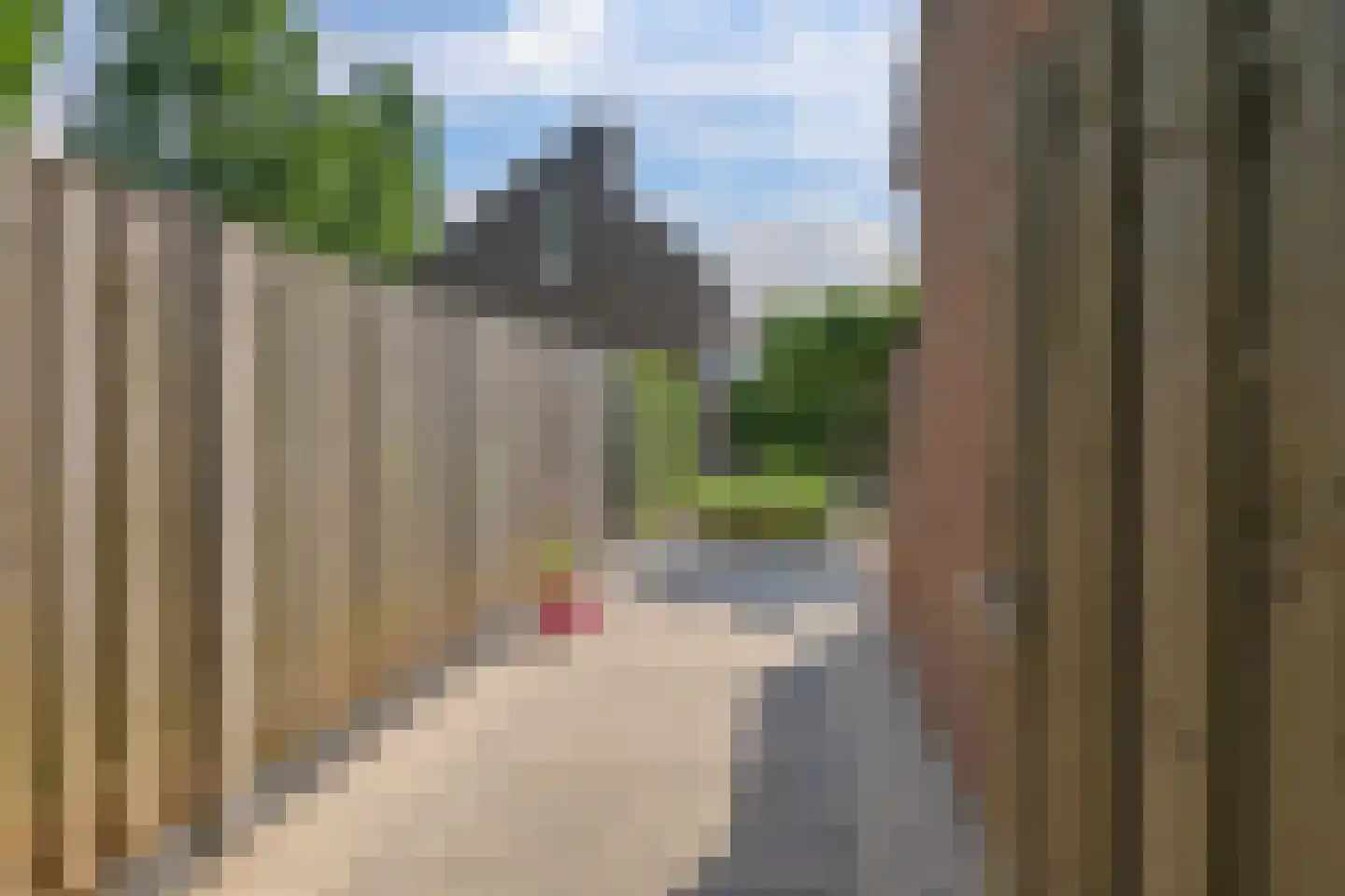 Rijplaan 38 Bemmel thumbnail 32