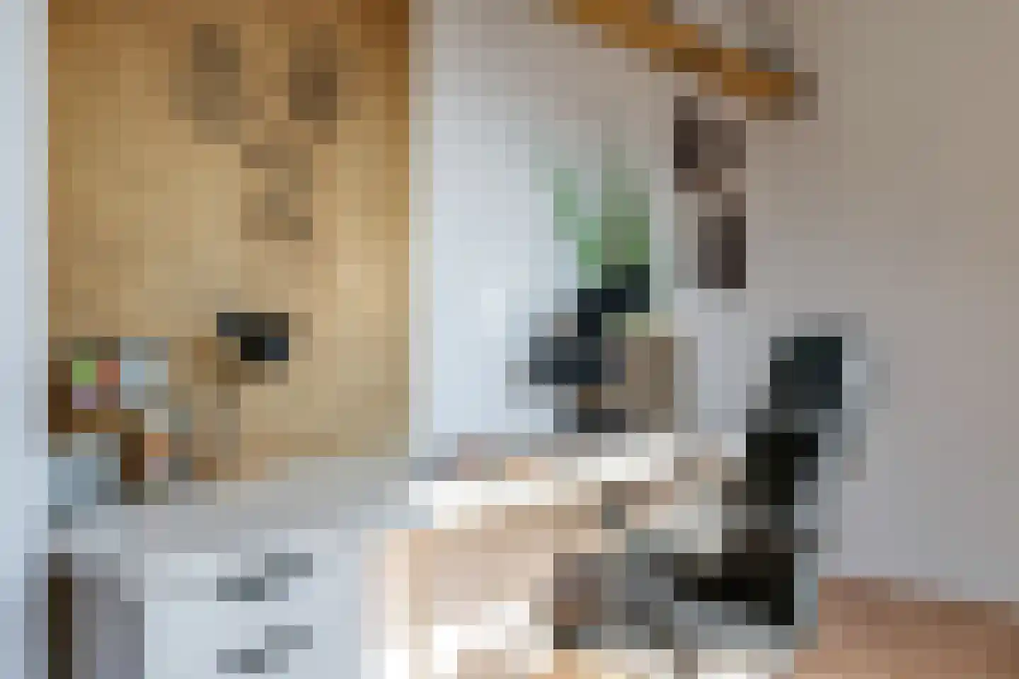 Rijplaan 38 Bemmel thumbnail 38
