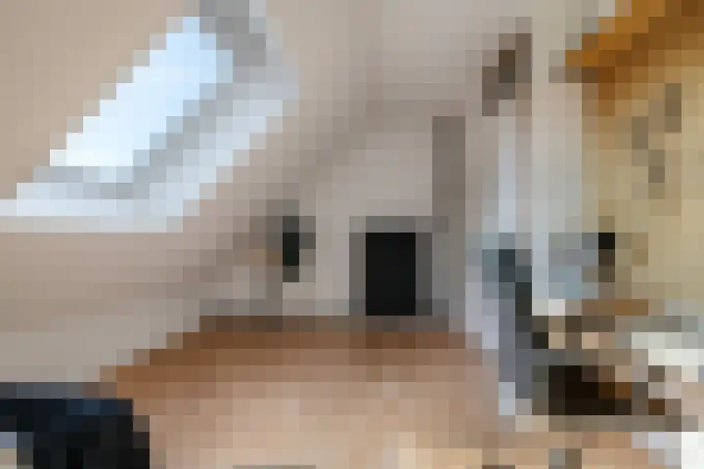 Rijplaan 38 Bemmel thumbnail 39