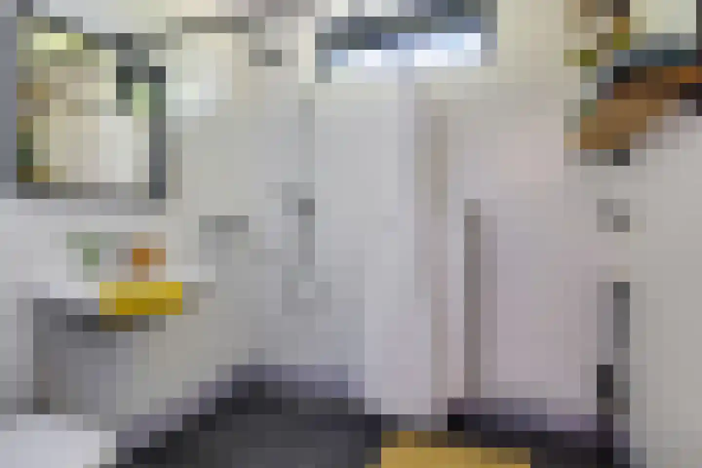 Rijplaan 38 Bemmel thumbnail 43
