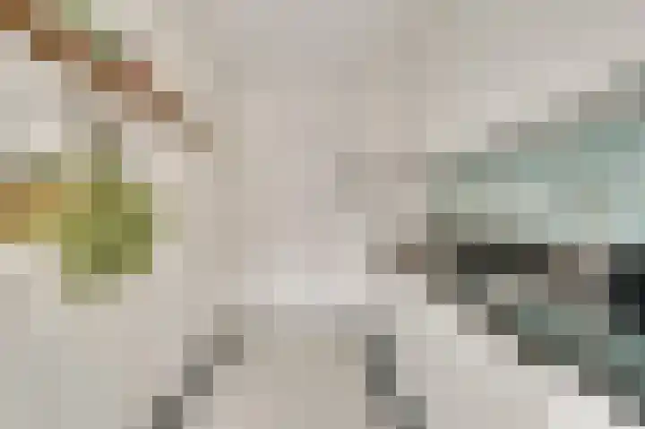 Rijproost 6 Maastricht thumbnail 10