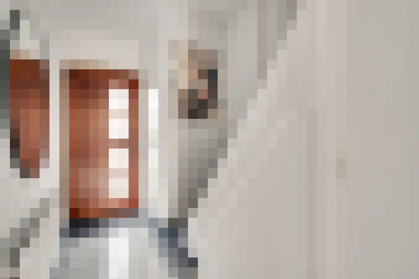 Rijproost 6 Maastricht thumbnail 11