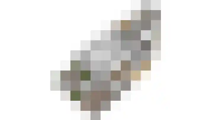 Rijproost 6 Maastricht thumbnail 22