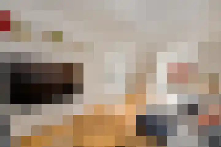 Rijproost 6 Maastricht thumbnail 6