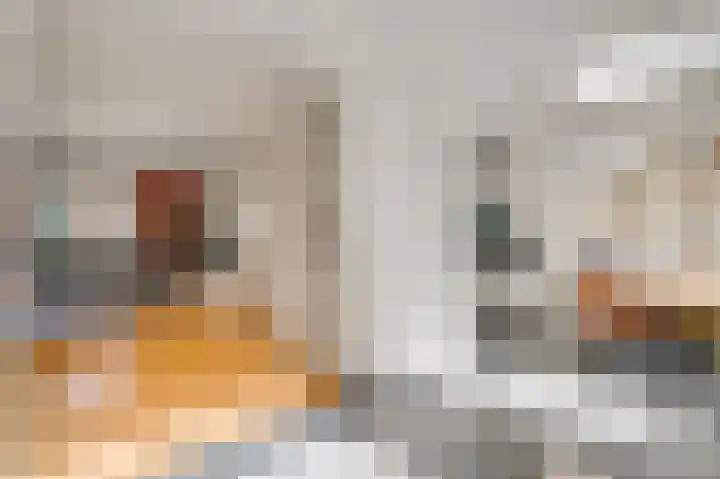 Rijproost 6 Maastricht thumbnail 8