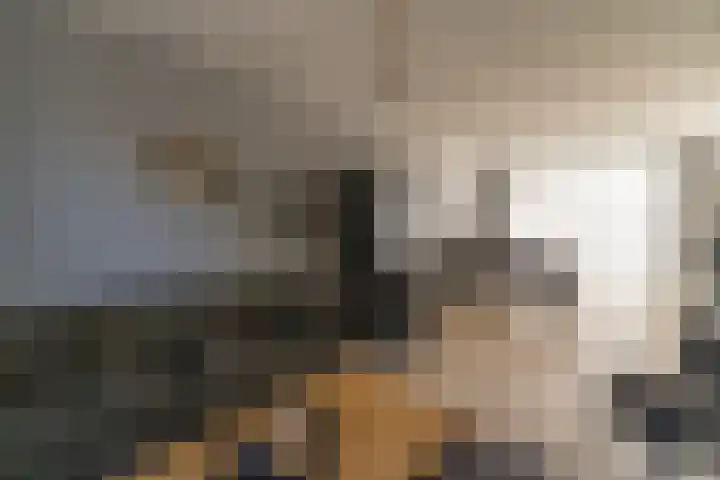 Rijsaert 6 Elburg thumbnail 11
