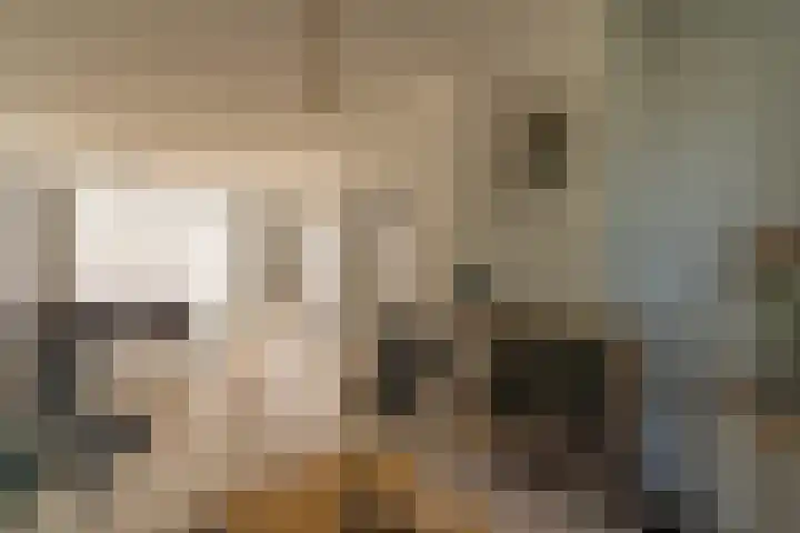 Rijsaert 6 Elburg thumbnail 12