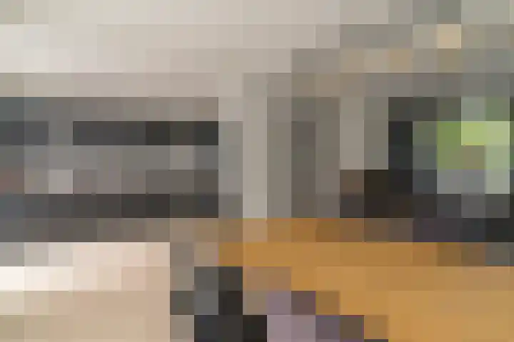 Rijsaert 6 Elburg thumbnail 15