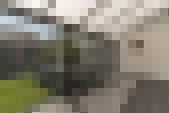 Rijsaert 6 Elburg thumbnail 20
