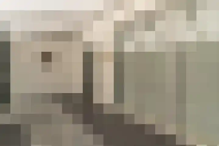 Rijsaert 6 Elburg thumbnail 21