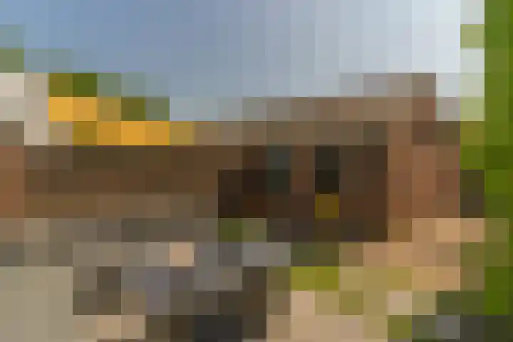 Rijsaert 6 Elburg thumbnail 35
