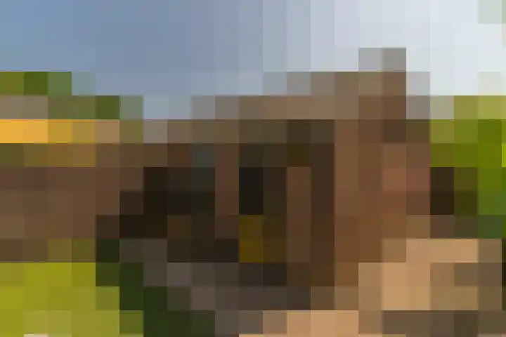 Rijsaert 6 Elburg thumbnail 36