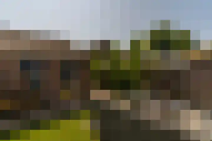 Rijsaert 6 Elburg thumbnail 37