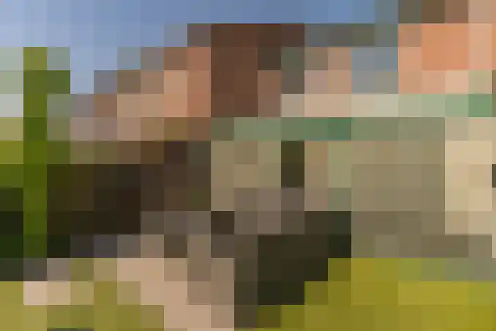 Rijsaert 6 Elburg thumbnail 38