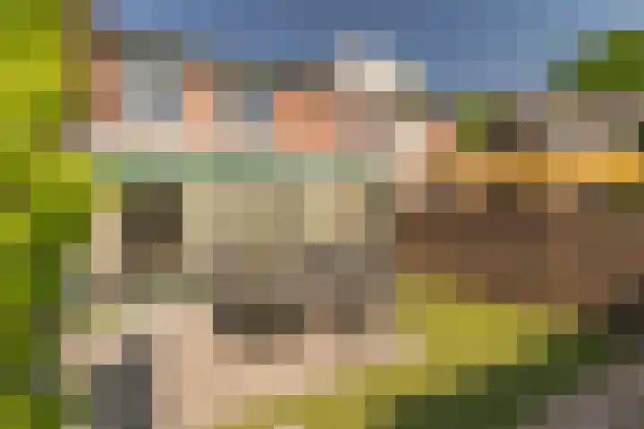 Rijsaert 6 Elburg thumbnail 39