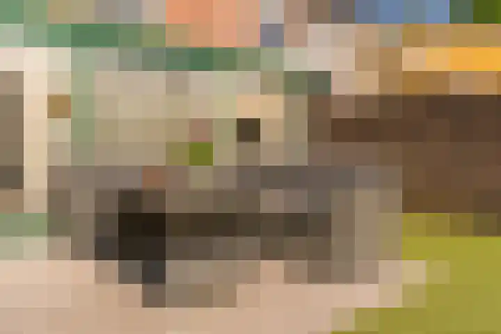 Rijsaert 6 Elburg thumbnail 40