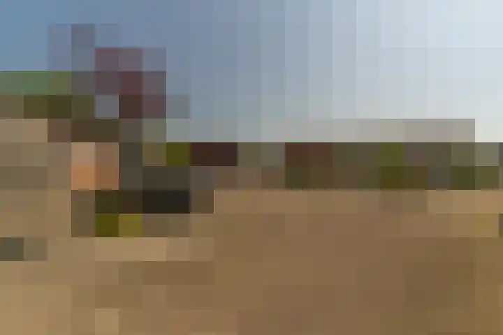 Rijsaert 6 Elburg thumbnail 42