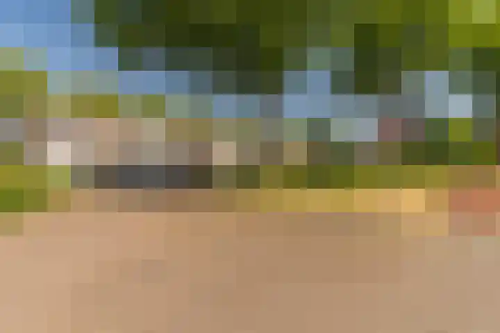 Rijsaert 6 Elburg thumbnail 43