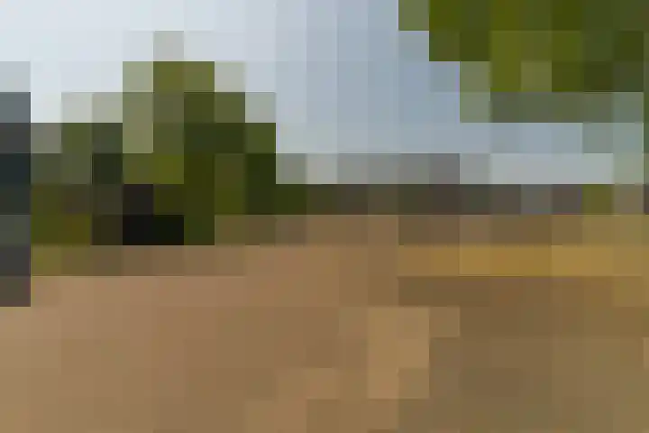 Rijsaert 6 Elburg thumbnail 44