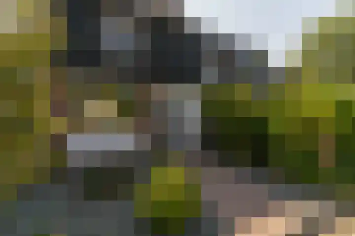 Rijsaert 6 Elburg thumbnail 5
