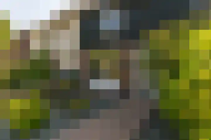 Rijsaert 6 Elburg thumbnail 6