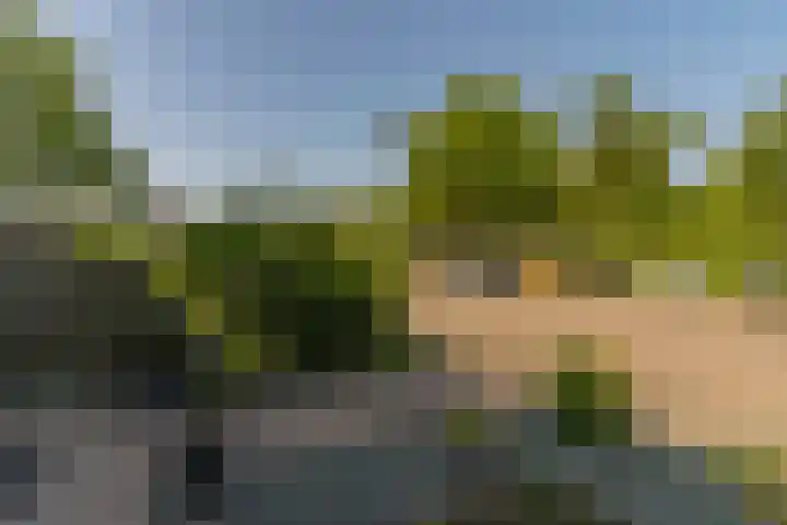 Rijsaert 6 Elburg thumbnail 7