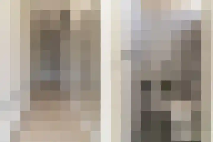 Rijsaert 6 Elburg thumbnail 8