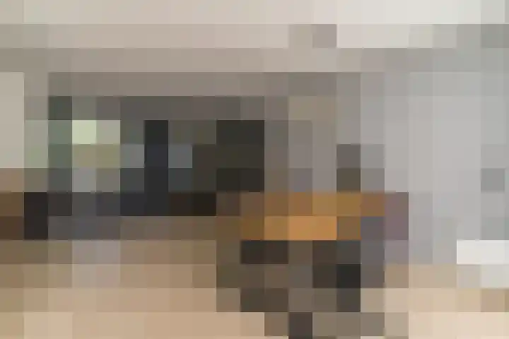 Rijsaert 6 Elburg thumbnail 9
