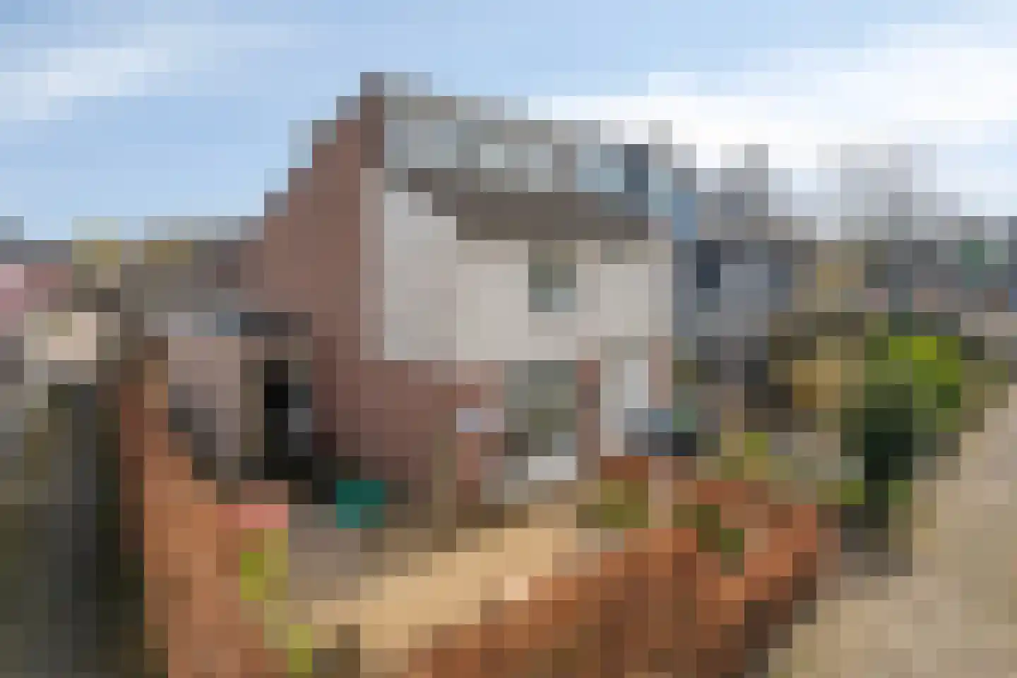 Rijsaert 8 Elburg thumbnail 10