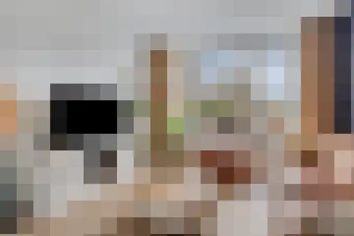 Rijsaert 8 Elburg thumbnail 13
