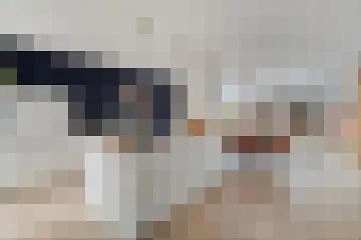 Rijsaert 8 Elburg thumbnail 22