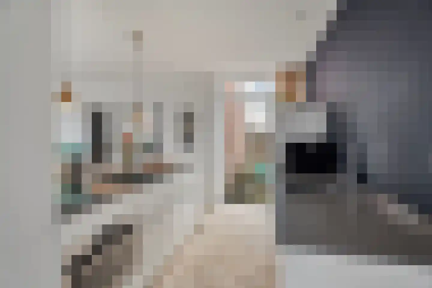 Rijsaert 8 Elburg thumbnail 23