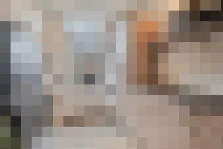 Rijsaert 8 Elburg thumbnail 28