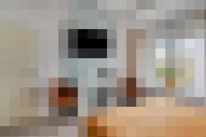 Rijsaert 8 Elburg thumbnail 31