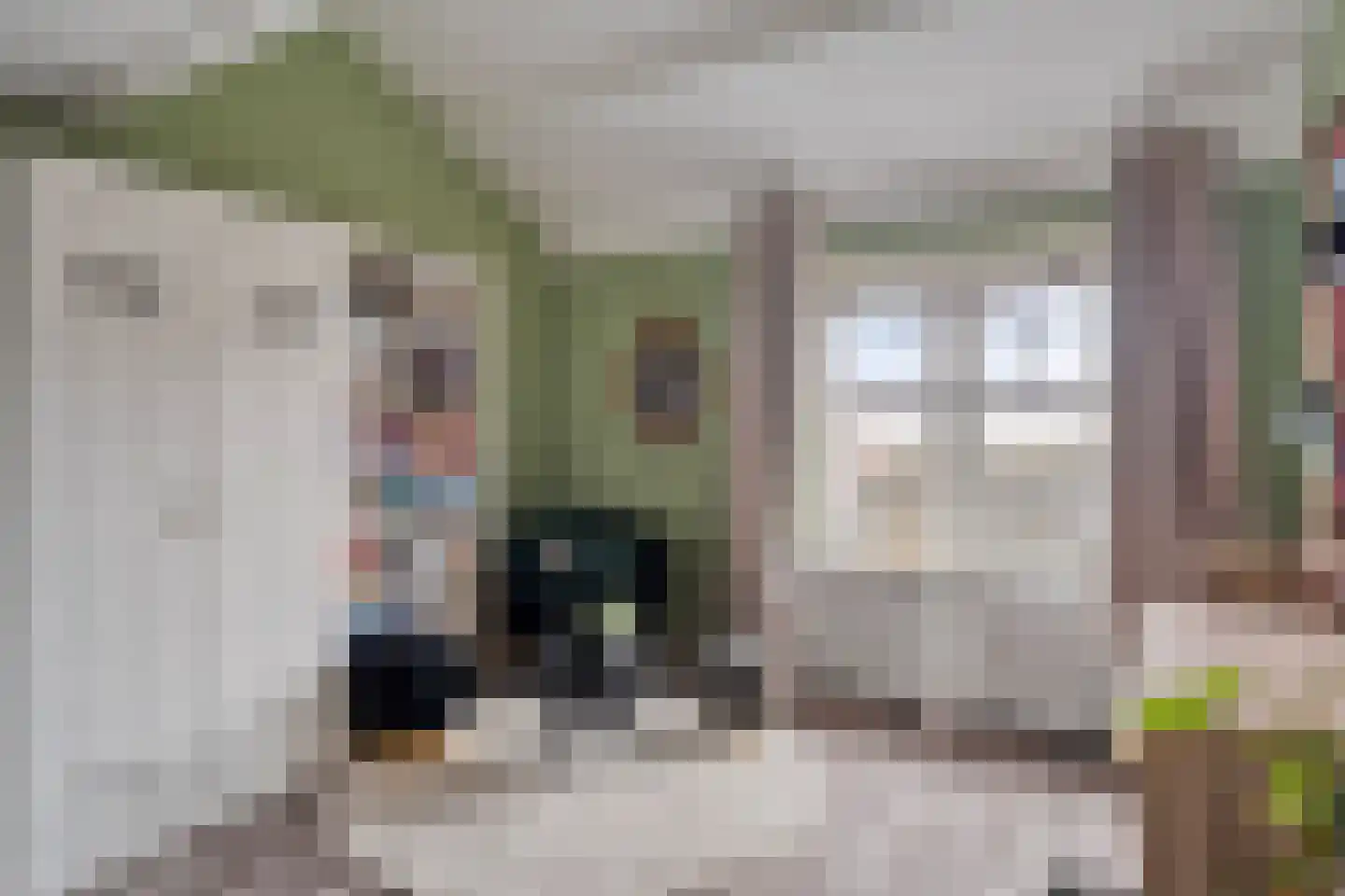 Rijsaert 8 Elburg thumbnail 37