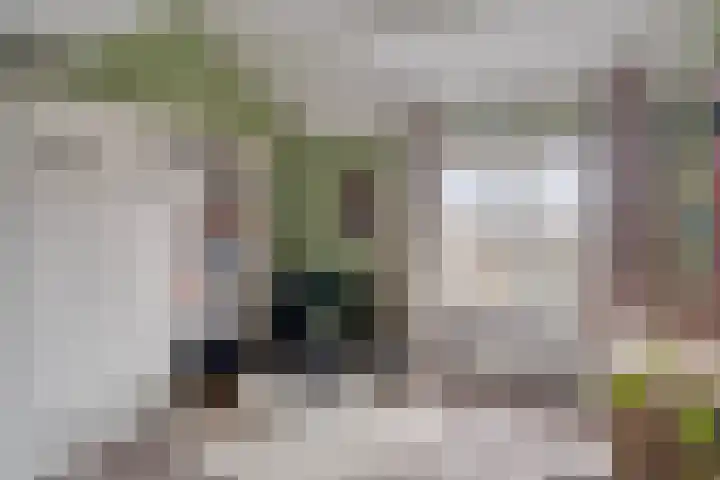 Rijsaert 8 Elburg thumbnail 37