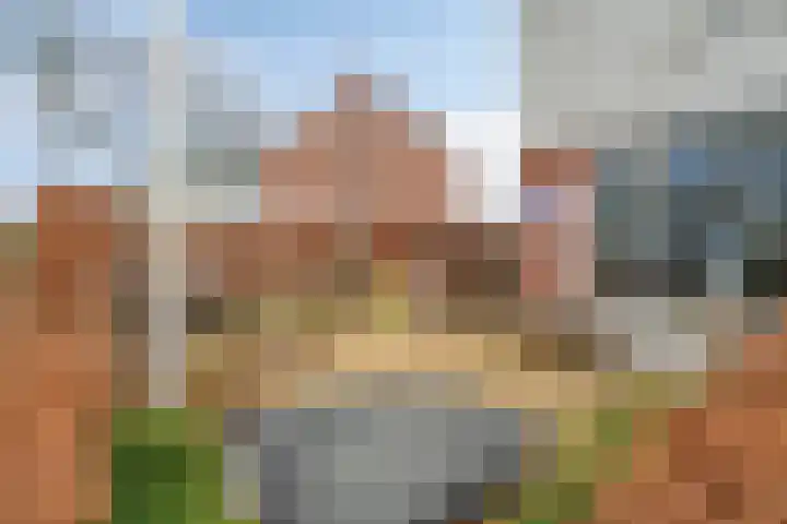 Rijsaert 8 Elburg thumbnail 44
