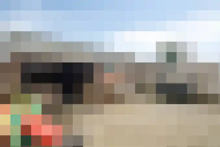 Rijsaert 8 Elburg thumbnail 50